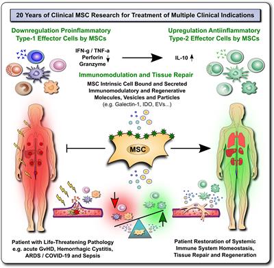 Mesenchymal Stromal Cells for Enhancing Hematopoietic Engraftment and Treatment of Graft-Versus-Host Disease, Hemorrhages and Acute Respiratory Distress Syndrome